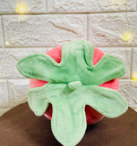 بالشت توت فرنگی