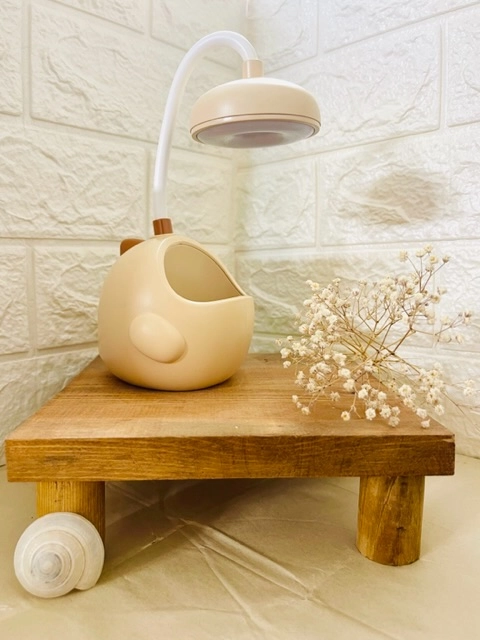 چراغ مطالعه ی پسرونه