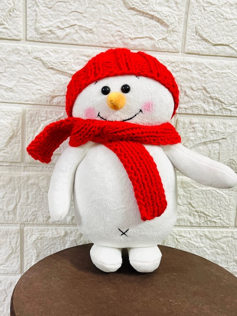 عروسک ادم برفی بالباس وکلاه