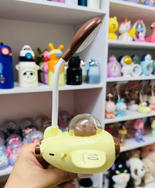 چراغ مطالعه و شب خواب فضاپیما