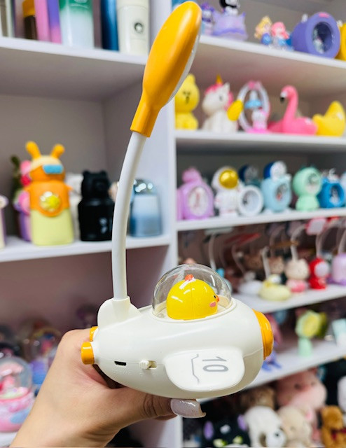 چراغ مطالعه و شب خواب فضاپیما